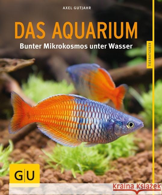 Das Aquarium : Bunter Mikrokosmos unter Wasser Gutjahr, Axel 9783833855108 Gräfe & Unzer - książka