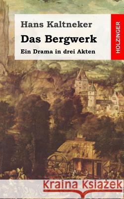 Das Bergwerk: Ein Drama in drei Akten Kaltneker, Hans 9781482589498 Createspace - książka