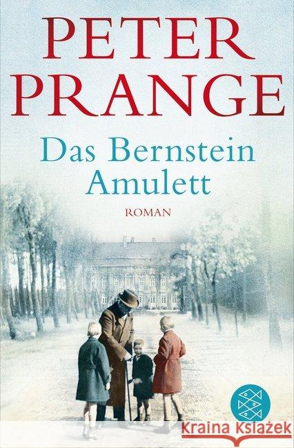 Das Bernstein-Amulett : Roman Prange, Peter 9783596037001 FISCHER Taschenbuch - książka