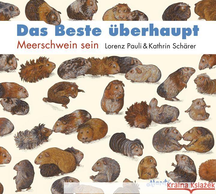 Das Beste überhaupt : Meerschwein sein Pauli, Lorenz; Schärer, Kathrin 9783715206660 Atlantis, Orell Füssli - książka