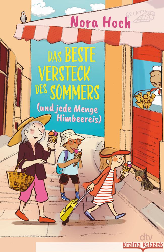 Das beste Versteck des Sommers (und jede Menge Himbeereis) Hoch, Nora 9783423765619 DTV - książka