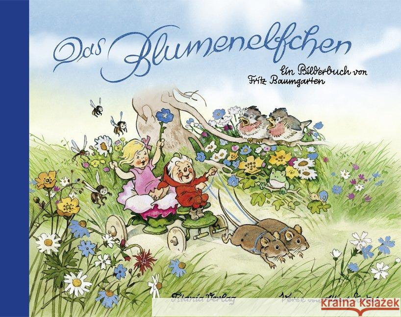 Das Blumenelfchen : Ein Bilderbuch Baumgarten, Fritz 9783864724121 Titania-Verlag - książka