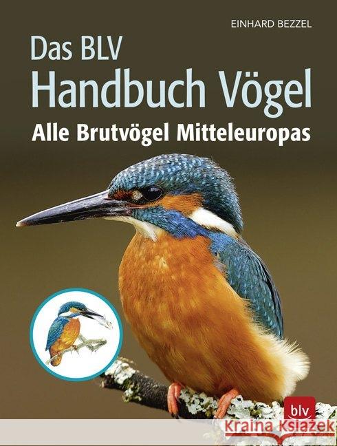 Das BLV Handbuch Vögel : Alle Brutvögel Mitteleuropas Bezzel, Einhard 9783835419087 BLV Buchverlag - książka