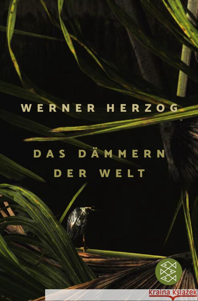 Das Dämmern der Welt Herzog, Werner 9783596707515 FISCHER Taschenbuch - książka