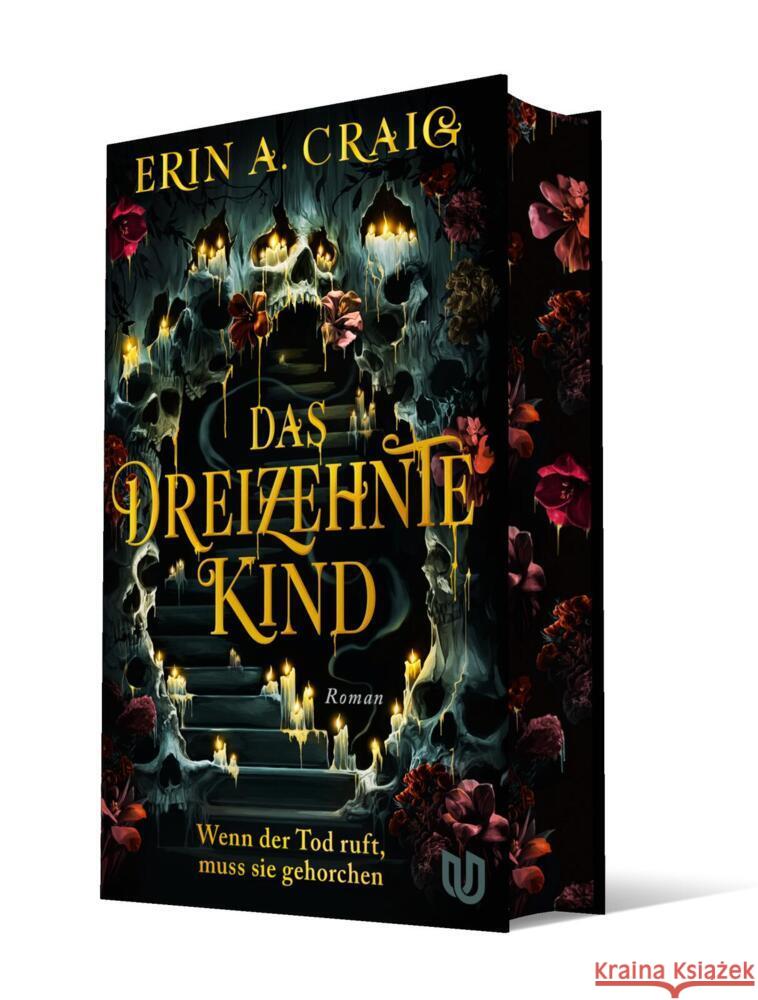 Das Dreizehnte Kind Craig, Erin A. 9783690860024 Ullstein Jugendbuch - książka
