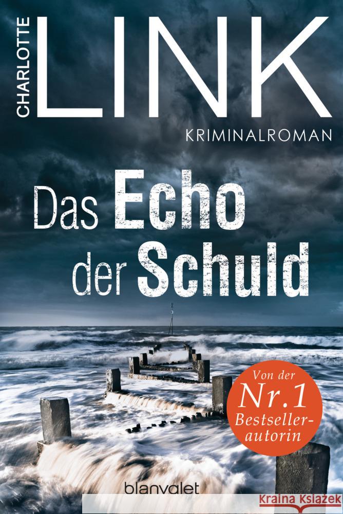 Das Echo der Schuld Link, Charlotte 9783734113567 Blanvalet - książka