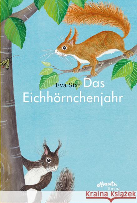 Das Eichhörnchenjahr Sixt, Eva 9783715207254 Atlantis - książka