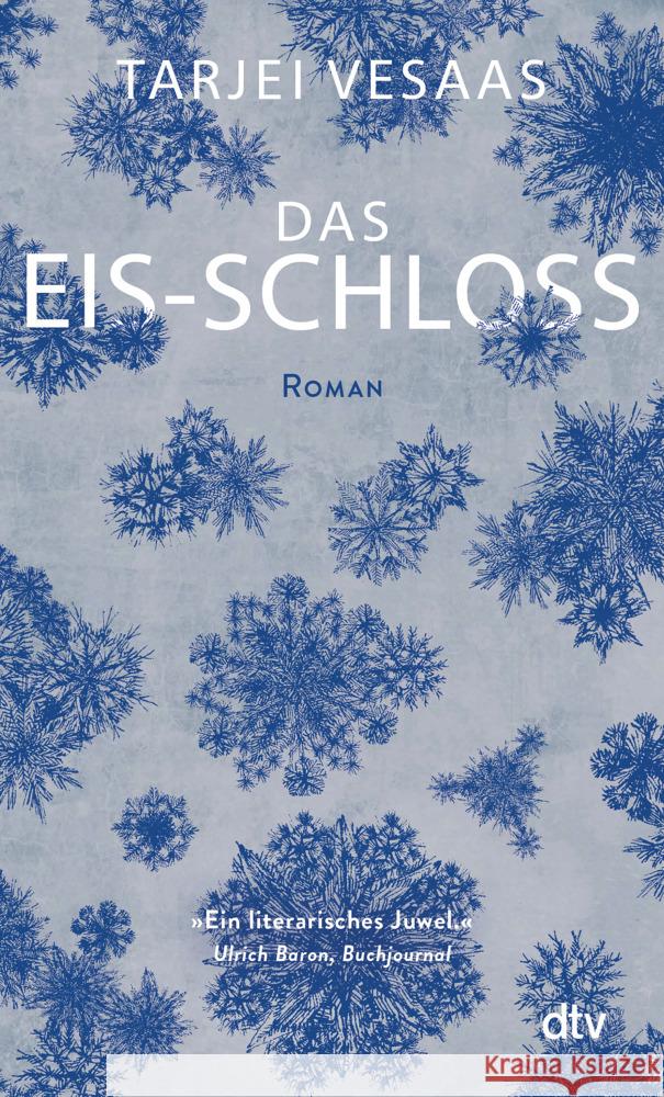 Das Eis-Schloss Vesaas, Tarjei 9783423148184 DTV - książka