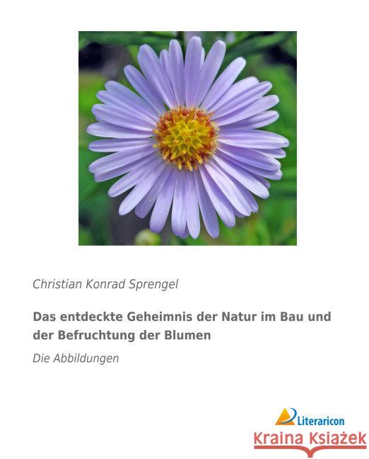 Das entdeckte Geheimnis der Natur im Bau und der Befruchtung der Blumen : Die Abbildungen Sprengel, Christian Konrad 9783956979781 Literaricon - książka