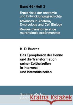 Das Epoophoron Der Henne Und Die Transformation Seiner Epithelzellen in Interrenal- Und Interstitialzellen Klaus-Dieter Budras 9783540059783 Not Avail - książka