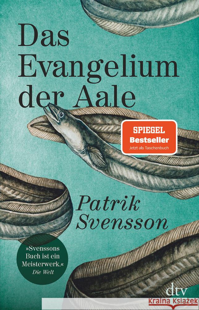 Das Evangelium der Aale Svensson, Patrik 9783423349949 DTV - książka