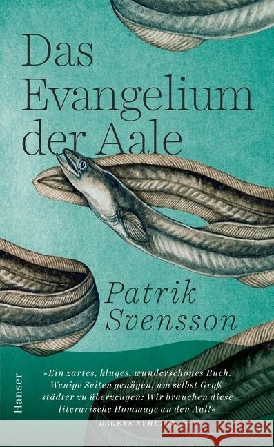 Das Evangelium der Aale Svensson, Patrik 9783446265844 Hanser - książka