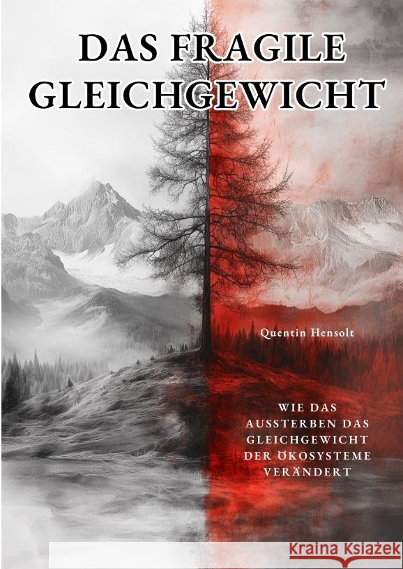 Das fragile Gleichgewicht Hensolt, Quentin 9783384469106 tredition - książka