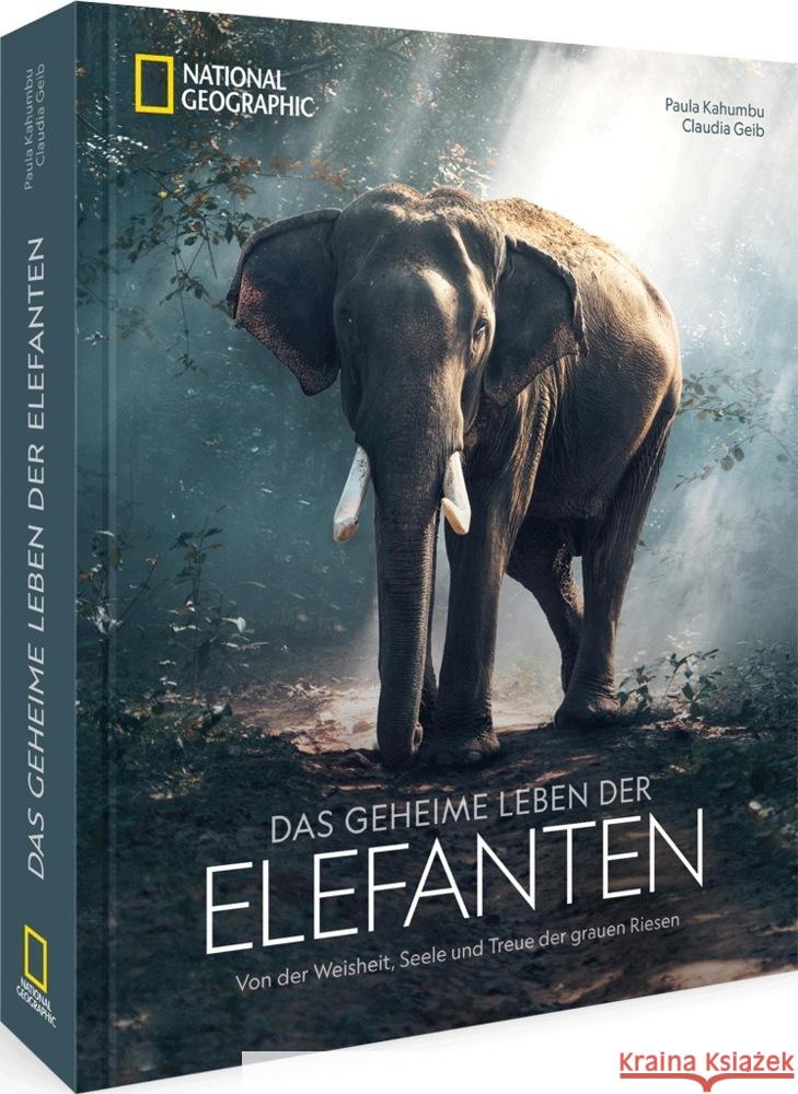Das geheime Leben der Elefanten Kahumbu, Paula, Geib, Claudia 9783987010293 National Geographic Deutschland - książka