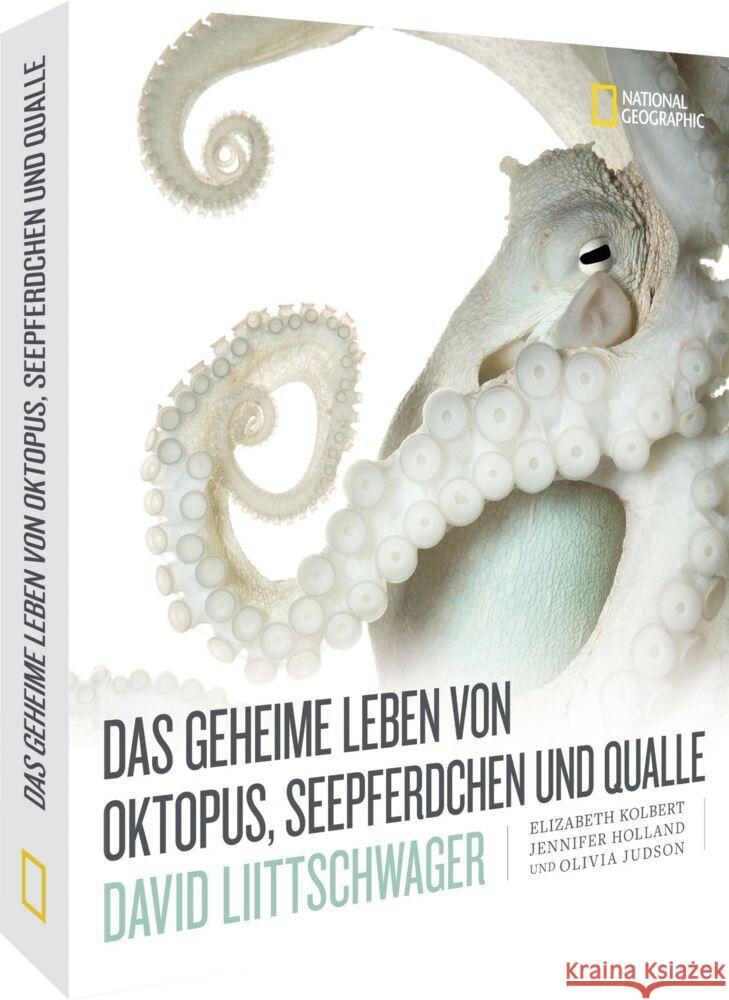 Das geheime Leben von Oktopus, Seepferdchen und Qualle Liittschwager, David, Kolbert, Elizabeth, Holland, Jennifer 9783866908017 National Geographic Deutschland - książka