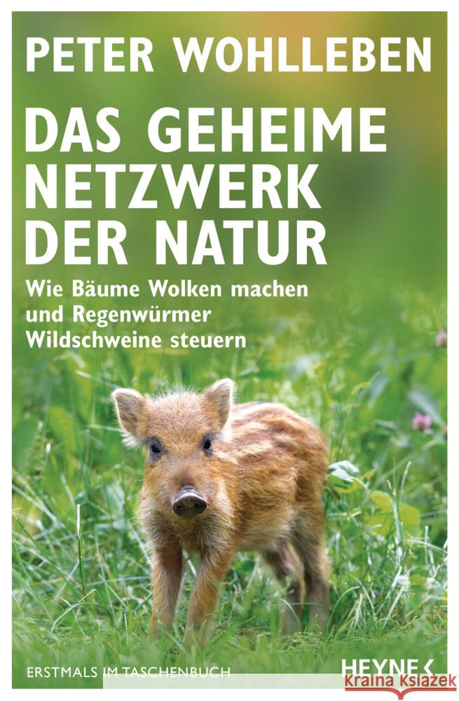 Das geheime Netzwerk der Natur Wohlleben, Peter 9783453605619 Heyne - książka