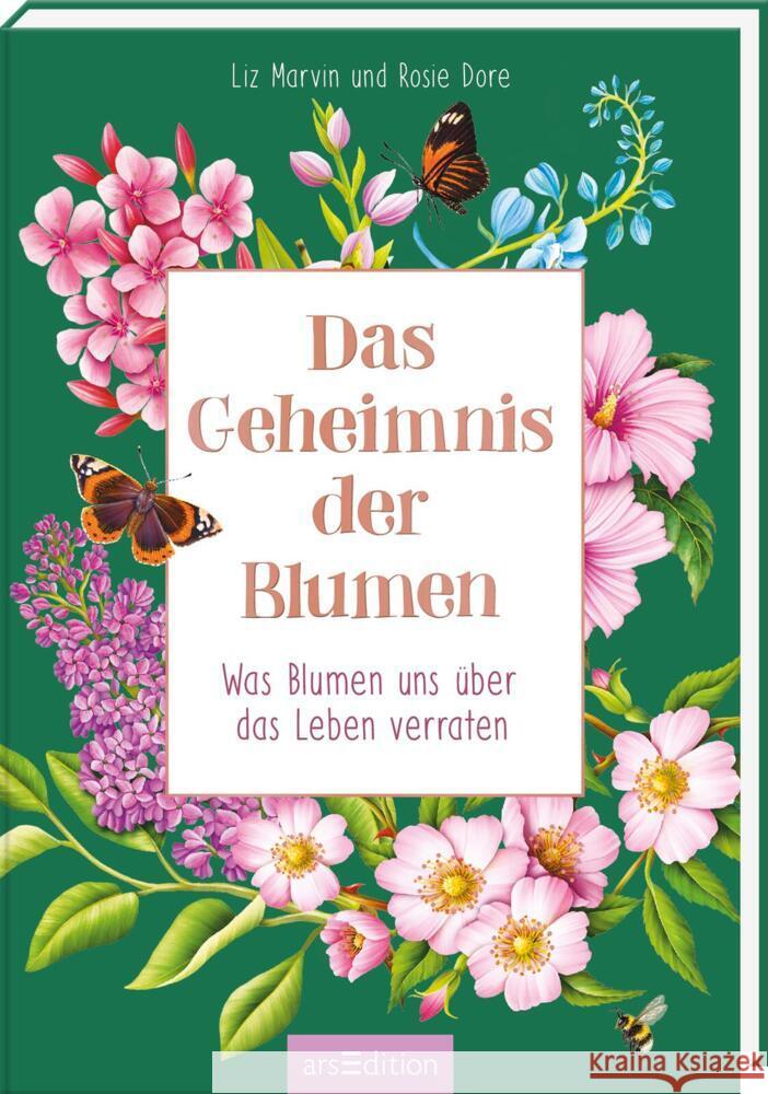 Das Geheimnis der Blumen Marvin, Liz 9783845857725 ars edition - książka