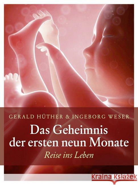 Das Geheimnis der ersten neun Monate : Reise ins Leben Hüther, Gerald; Weser, Ingeborg 9783407857590 Beltz - książka