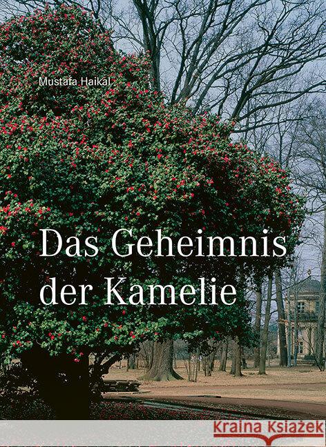 Das Geheimnis der Kamelie Haikal, Mustafa 9783954985548 Sandstein - książka