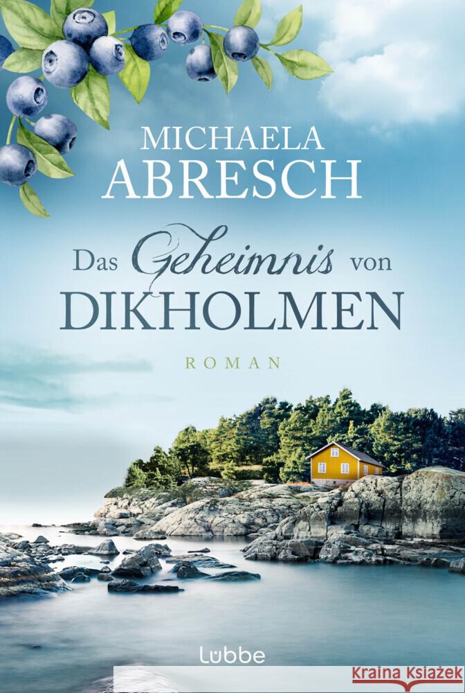 Das Geheimnis von Dikholmen Abresch, Michaela 9783404192472 Bastei Lübbe - książka