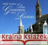 Das Geheimnis von Lourdes Lechner, Odilo   9783702227388 Tyrolia - książka