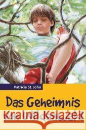 Das Geheimnis von Wildenwald Saint John, Patricia   9783893975686 CLV - książka