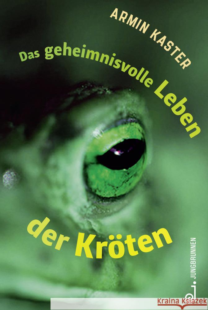 Das geheimnisvolle Leben der Kröten Kaster, Armin 9783702659646 Jungbrunnen-Verlag - książka