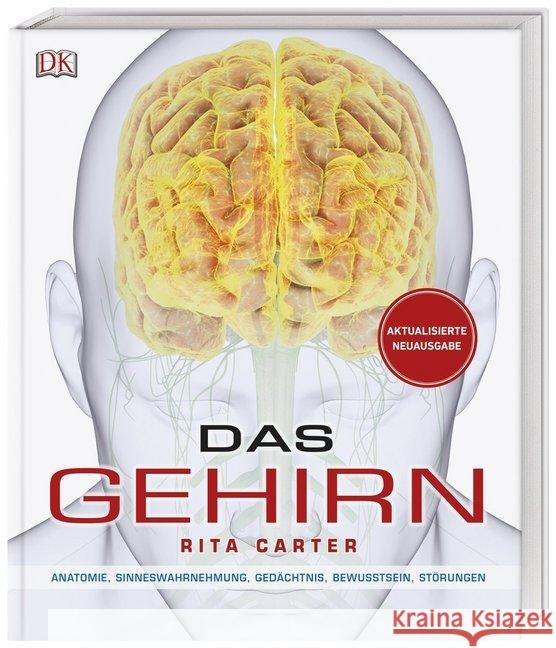 Das Gehirn : Anatomie, Sinneswahrnehmung, Gedächtnis, Bewusstsein, Störungen Carter, Rita 9783831036684 Dorling Kindersley - książka