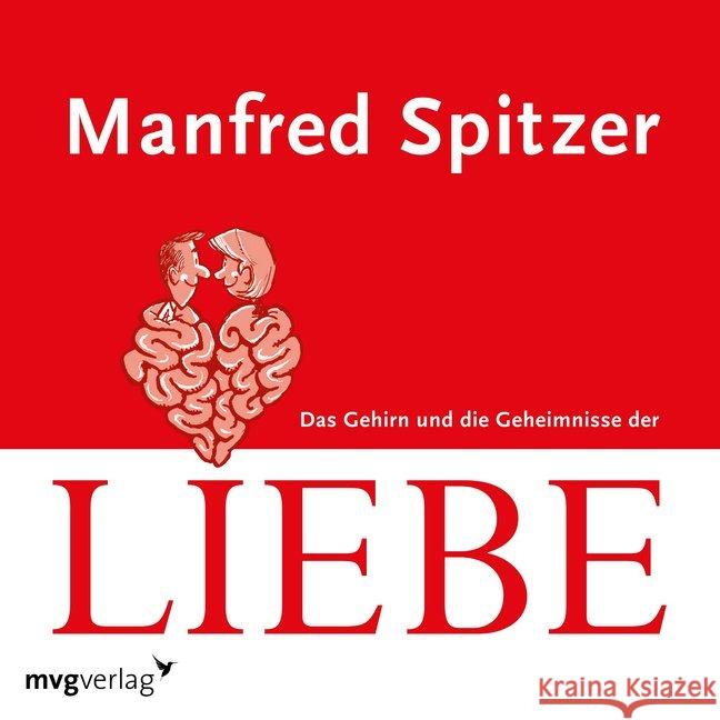 Das Gehirn und die Geheimnisse der Liebe, 1 Audio-CD Spitzer, Manfred 9783747400326 mvg Verlag - książka