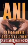 Das Gelöbnis des gefallenen Engels Ani, Friedrich 9783518472996 Suhrkamp