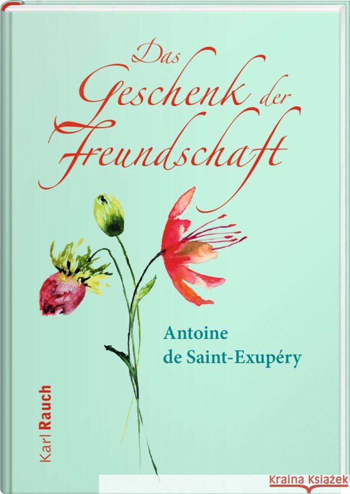 Das Geschenk der Freundschaft Saint-Exupéry, Antoine de 9783792001684 Rauch - książka