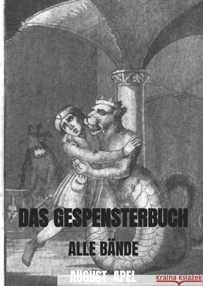 DAS GESPENSTERBUCH Apel, August 9789403621661 Bookmundo - książka
