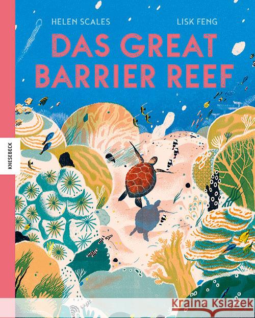 Das Great Barrier Reef Scales, Helen 9783957284778 Knesebeck - książka