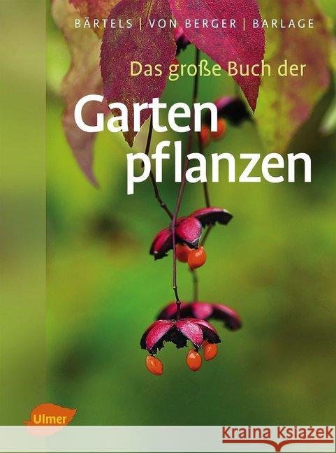 Das große Buch der Gartenpflanzen : Über 4500 Bäume, Sträucher und Gartenblumen von A-Z Bärtels, Andreas; Berger, Frank M. von; Barlage, Andreas 9783800178346 Ulmer (Eugen) - książka