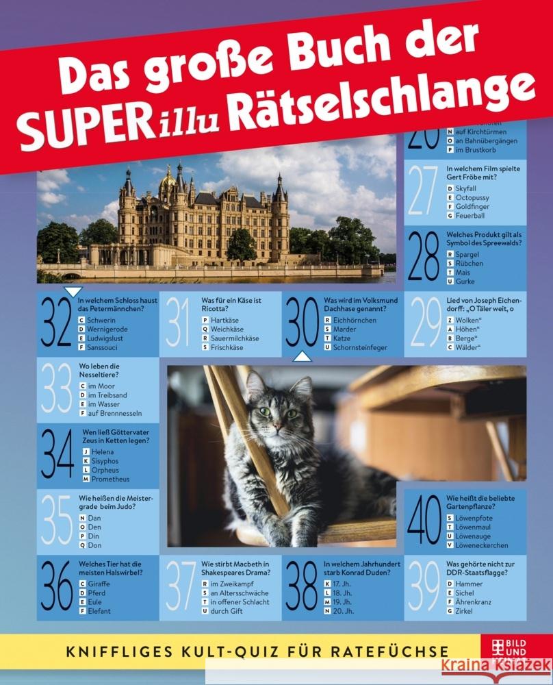 Das große Buch der SUPERillu-Rätselschlange  9783959583145 Bild und Heimat - książka
