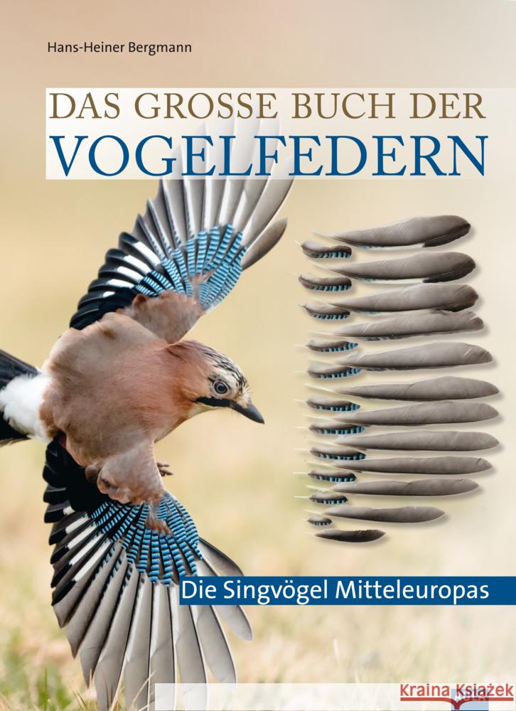Das große Buch der Vogelfedern Bergmann, Hans-Heiner 9783891048511 Aula - książka