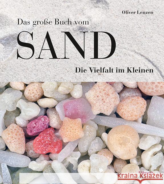Das große Buch vom Sand Lenzen, Oliver 9783258082707 Haupt - książka