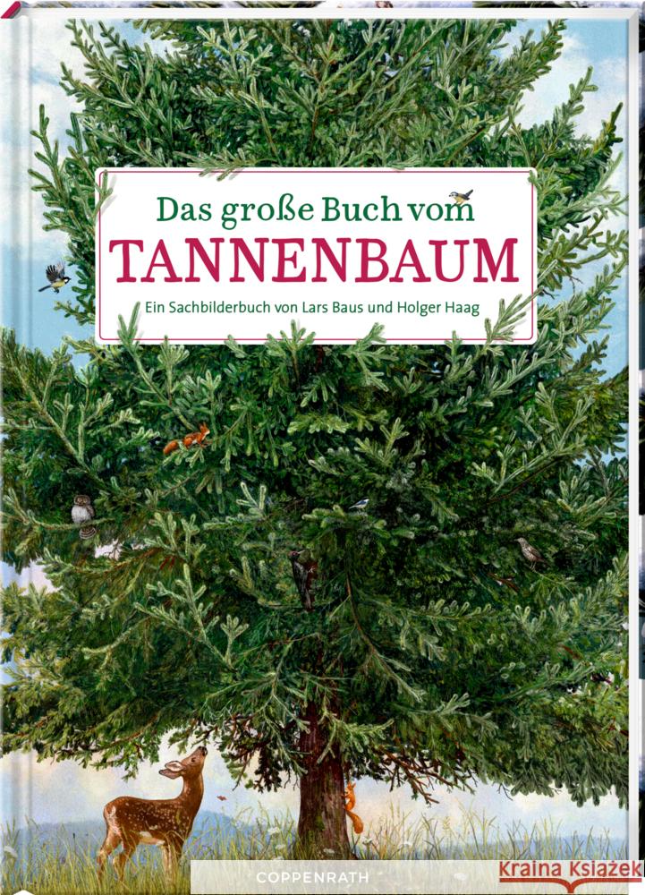 Das große Buch vom Tannenbaum Haag, Holger 9783649647973 Coppenrath, Münster - książka