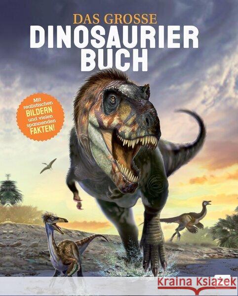 Das große Dinosaurierbuch Martin, Claudia 9783741527241 Ullmann Medien - książka