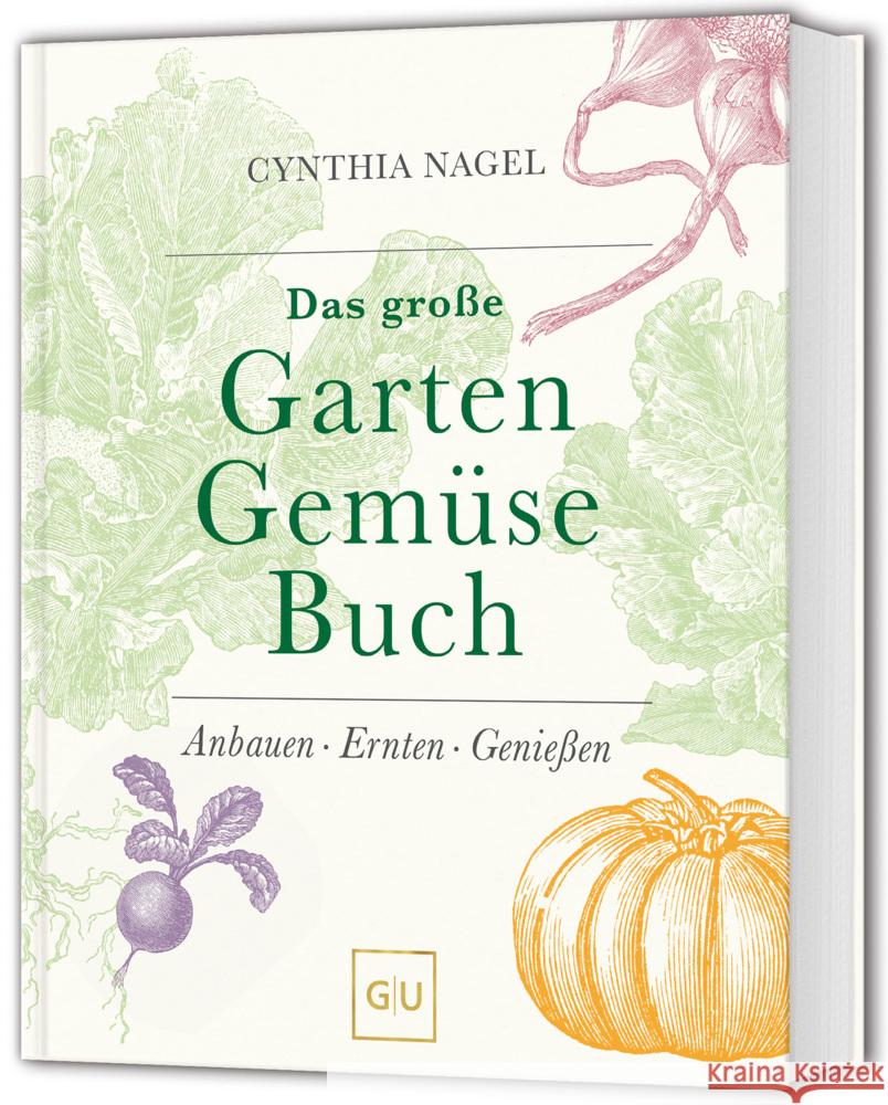 Das große Garten-Gemüse-Buch Nagel, Cynthia 9783833898709 Gräfe & Unzer - książka