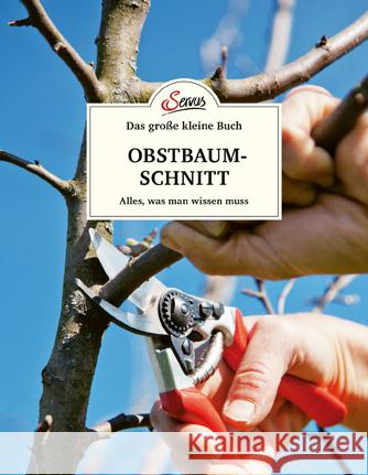 Das große kleine Buch: Obstbaumschnitt Palnstorfer, Erwin 9783710403057 Servus - książka