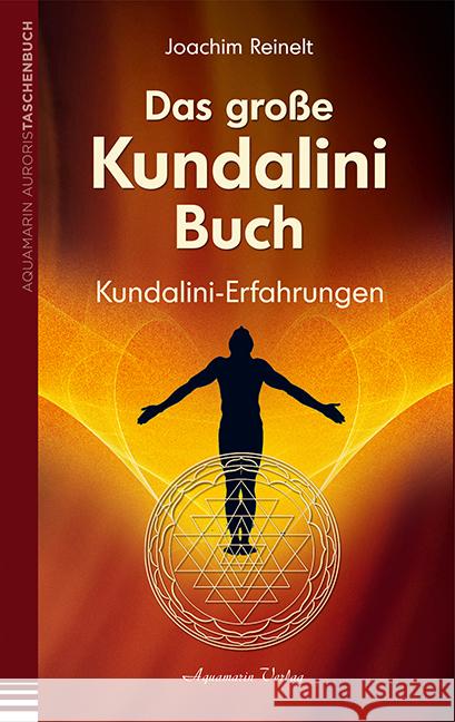 Das große Kundalini-Buch : Kundalini-Erfahrungen Reinelt, Joachim 9783894276294 Aquamarin - książka