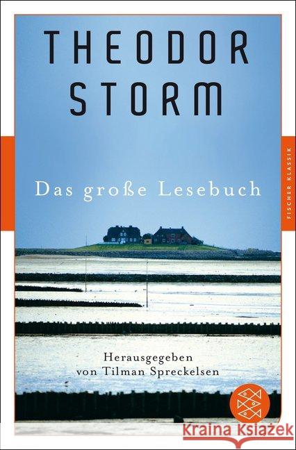 Das große Lesebuch Storm, Theodor 9783596906260 FISCHER Taschenbuch - książka