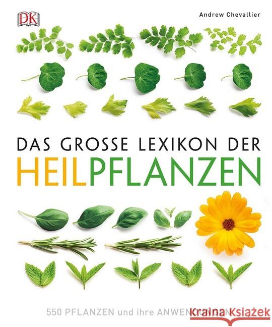 Das große Lexikon der Heilpflanzen : 550 Pflanzen und ihre Anwendungen Chevallier, Andrew 9783831032327 Dorling Kindersley - książka