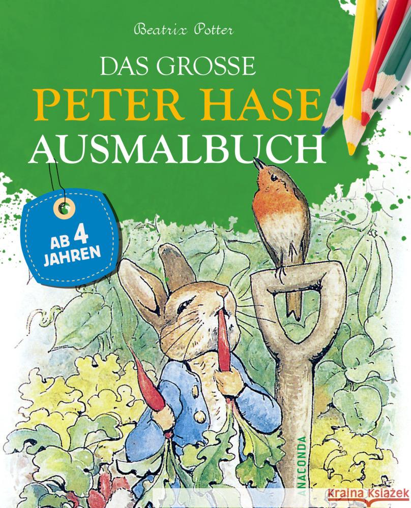 Das große Peter Hase Ausmalbuch Potter, Beatrix 9783730609903 Anaconda - książka