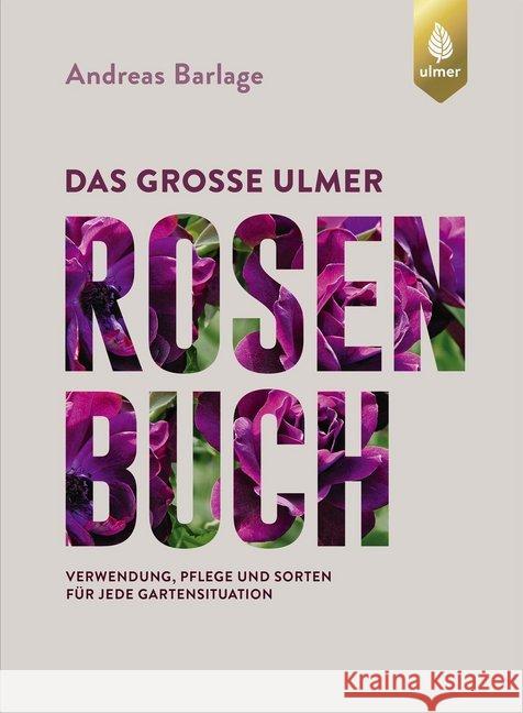 Das große Ulmer Rosenbuch : Verwendung, Pflege und Sorten für jede Gartensituation Barlage, Andreas 9783800108152 Verlag Eugen Ulmer - książka