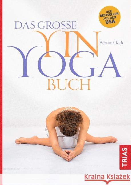 Das große Yin-Yoga-Buch Clark, Bernie 9783432105512 Trias - książka