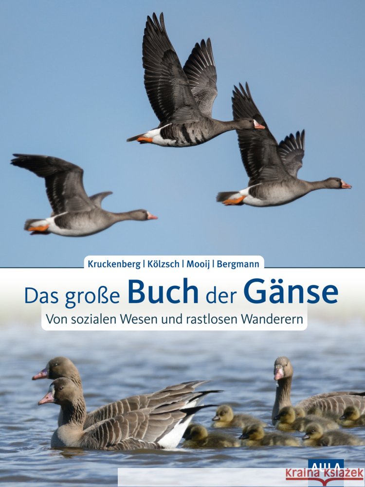 Das große Buch der Gänse Kruckenberg, Helmut, Kölzsch, Andrea, Mooij, Johan 9783891048412 Aula - książka