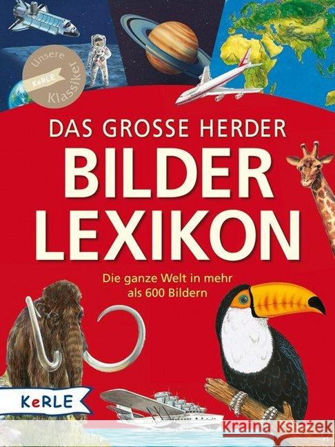 Das grosse Herder Bilderlexikon Various authors 9783451713316 Herder GmbH Verlag - książka