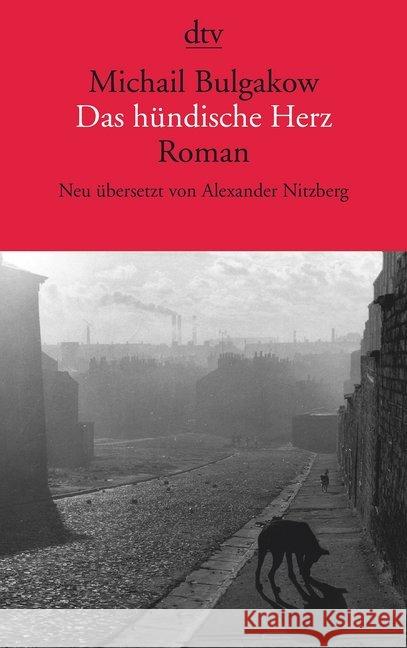 Das hündische Herz : Roman Bulgakow, Michail 9783423143714 DTV - książka